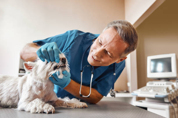 Best After-Hours Emergency Dentist in South Beach, FL